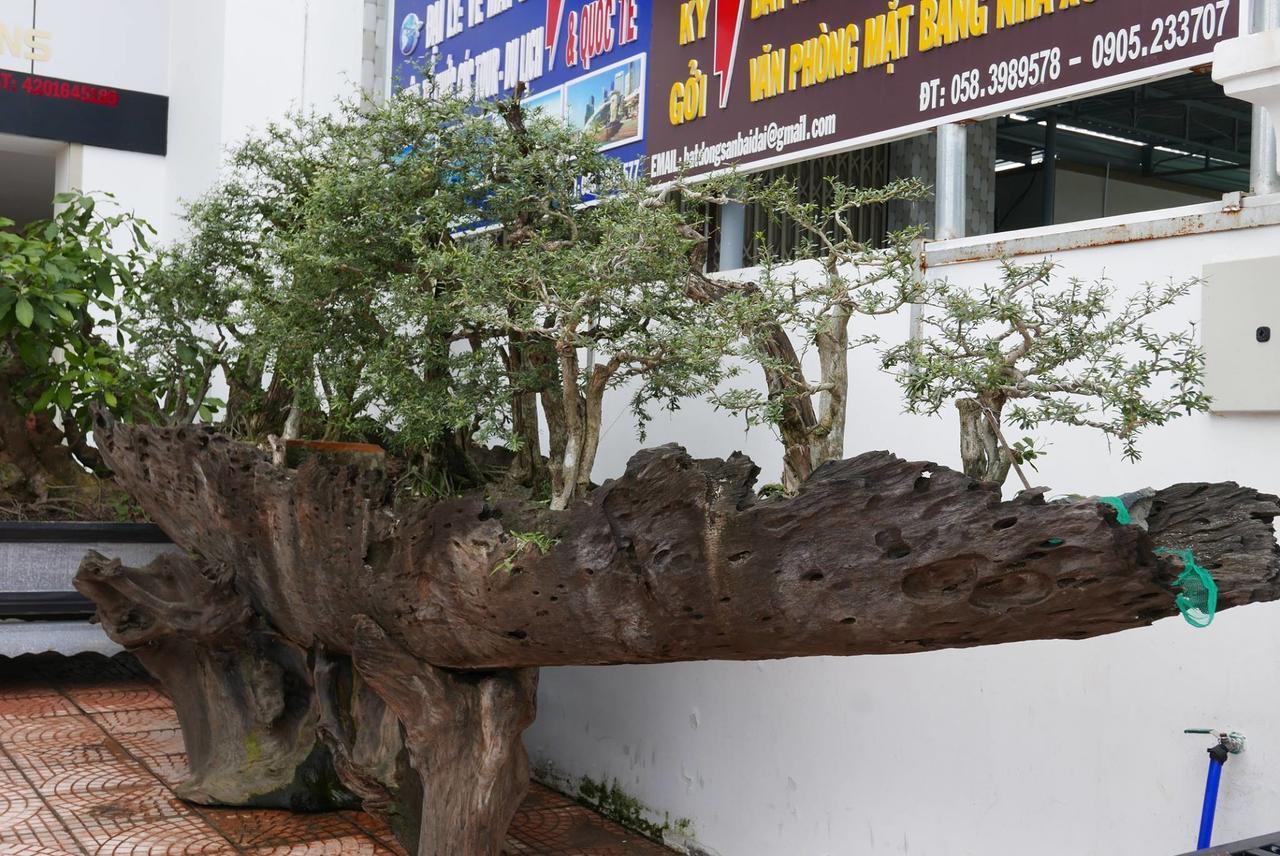 Allure Hotel Thuy Trieu Bagian luar foto